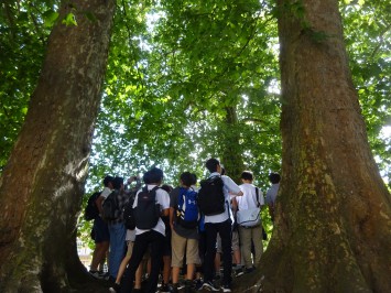 サーカスの中央に、井戸の跡があります。井戸を囲み、木々に囲まれる生徒たち。