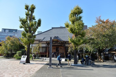 20171103_蜩∝ｷ昴ヵ繧｣繝ｼ繝ｫ繝峨Ρ繝ｼ繧ｯ・亥･･譚托ｼ噂DSC_7583(1)