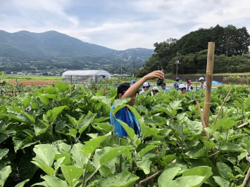 20180723_020846747_iOS - コピー