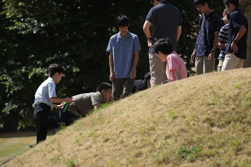 中古】 学校教育における親の権利/海鳴社/結城忠