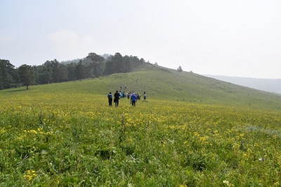 一面の花畑の中を歩いての登山