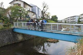 111103minamisawa-2%281%29.jpg