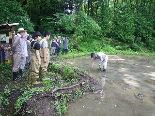 120610taue%20%281%29.jpg