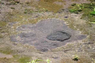 20120728kakitagawa-2.JPG