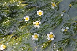 20120728kakitagawa-6.JPG