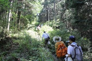 20120825tochigi2.JPG