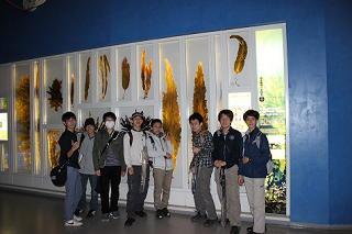 20130424_uenotakaraduka2.JPG