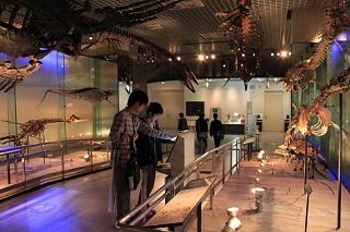 20130424_uenotakaraduka3.JPG