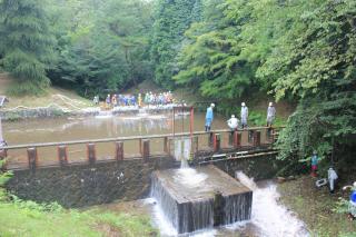 20130802_toukaijyunnkenn21.jpg