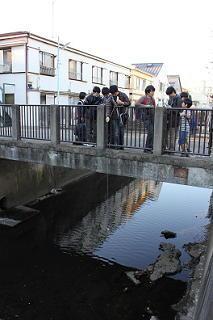 20131130_inokashira4.JPG