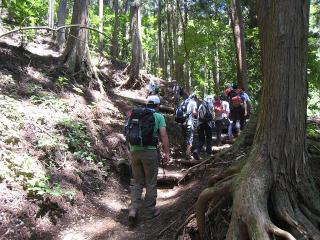 20140615bukousann3.JPG