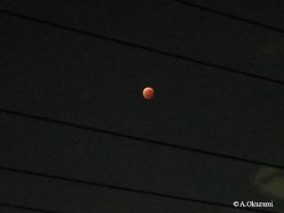 20141008lunar%20eclipse1.JPG