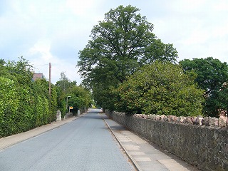 e804.jpg